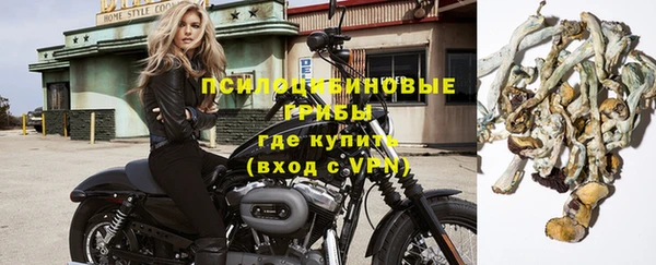 круглые Арсеньев