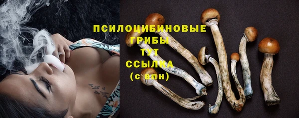 круглые Арсеньев