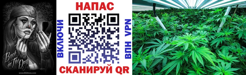hydra ССЫЛКА купить закладку Зуевка Канабис VHQ